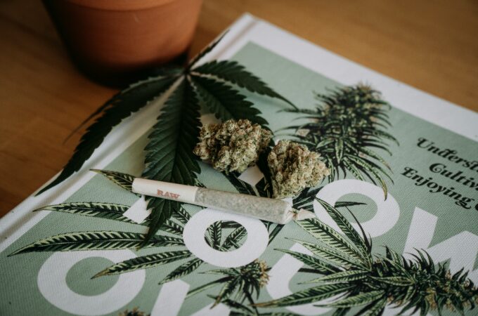 Save More With the Cheapest Online Dispensary Canada